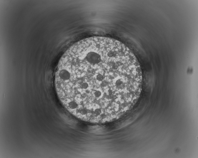 X0000101390511200808041020