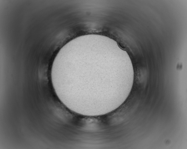 X0000101390512200808041020
