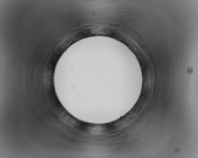X0000101390513200808041020