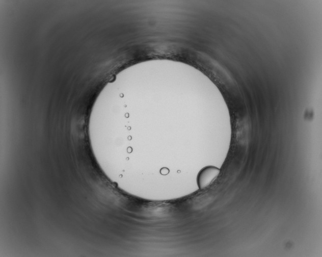 X0000101390514200808041020