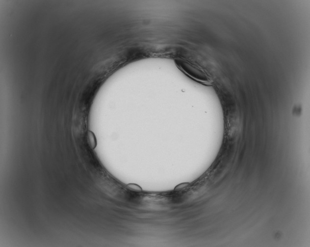 X0000101390515200808041020