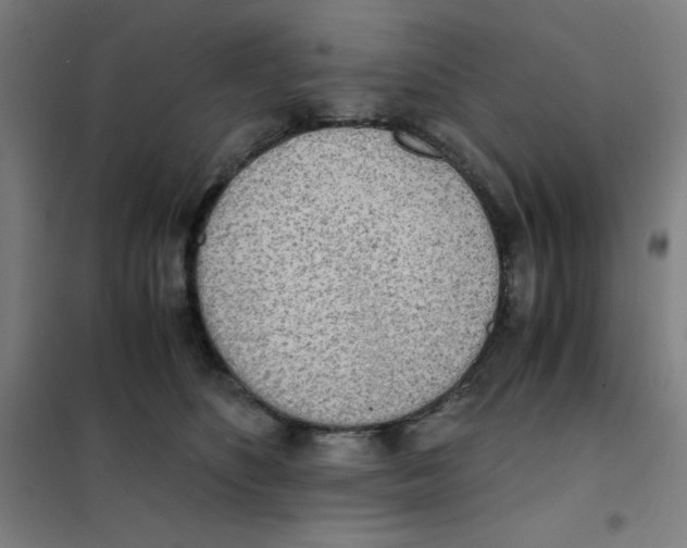 X0000101390516200808041020
