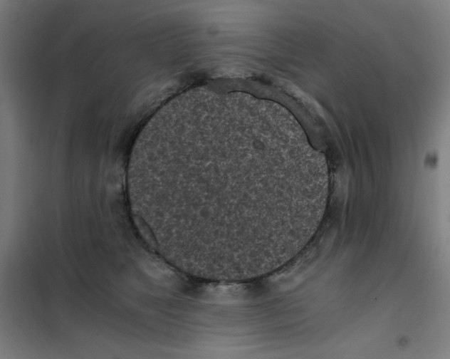 X0000101390517200808041020