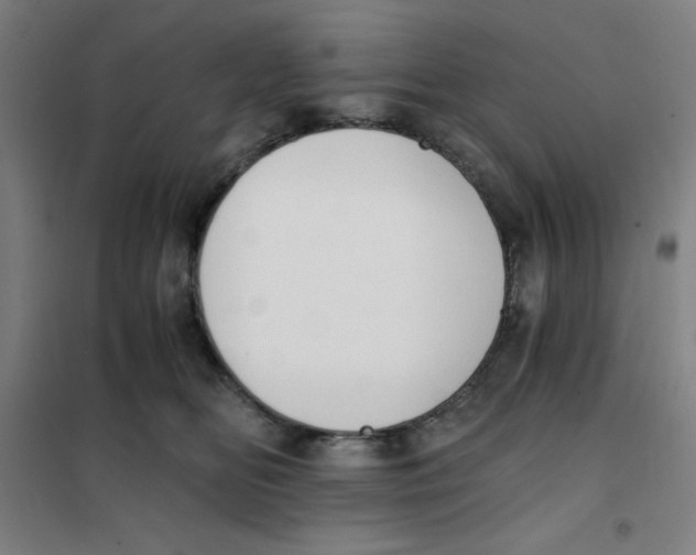 X0000101390518200808041020