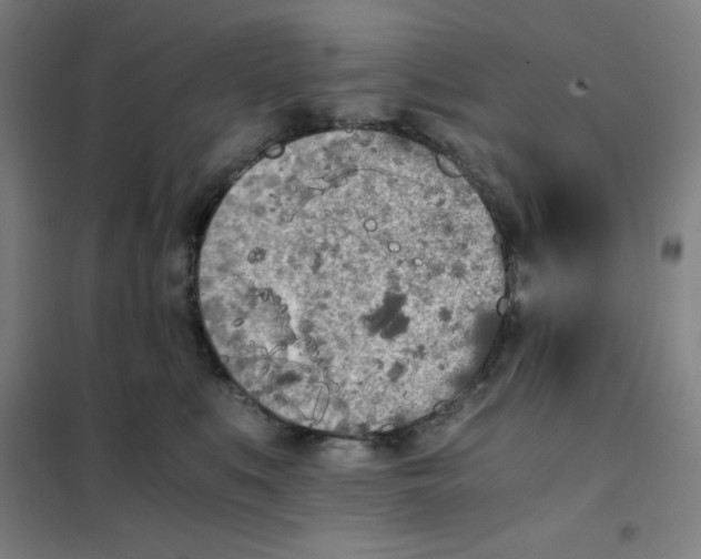 X0000101390519200808041020