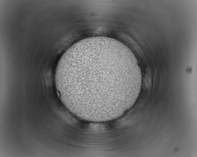 X0000101390520200808041020