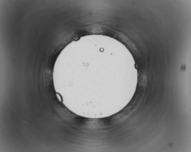 X0000101390521200808041020