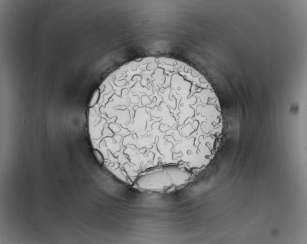 X0000101390523200808041020