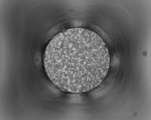 X0000101390524200808041020