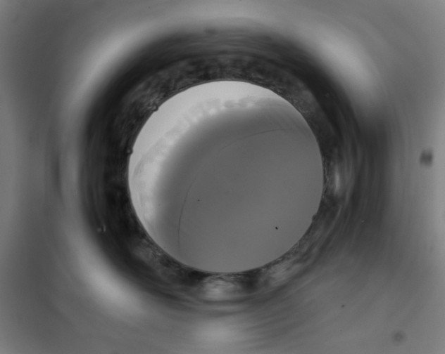 X0000101390526200808041020