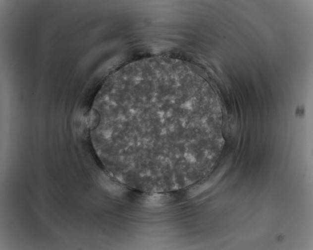 X0000101390527200808041020