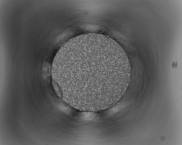 X0000101390528200808041020