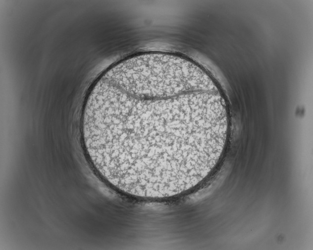 X0000101390529200808041019
