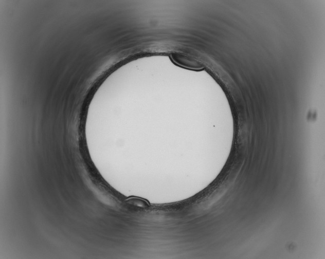 X0000101390530200808041019