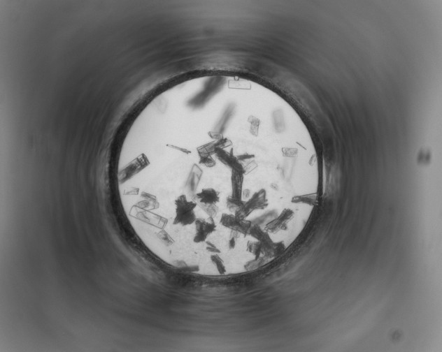 X0000101390531200808041019