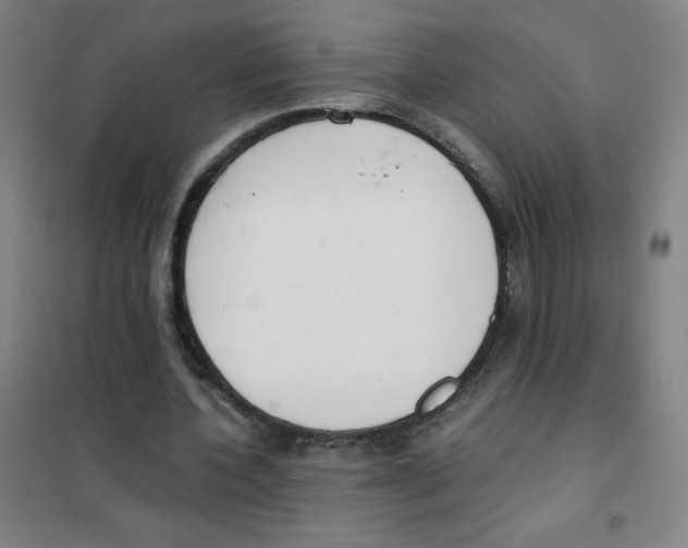 X0000101390532200808041019