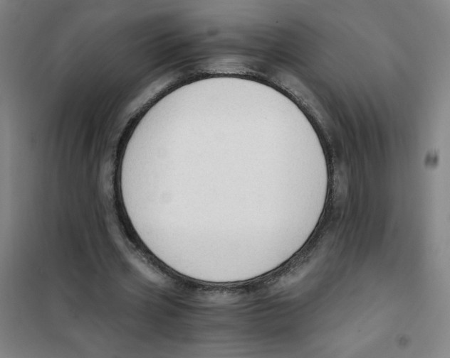 X0000101390533200808041019