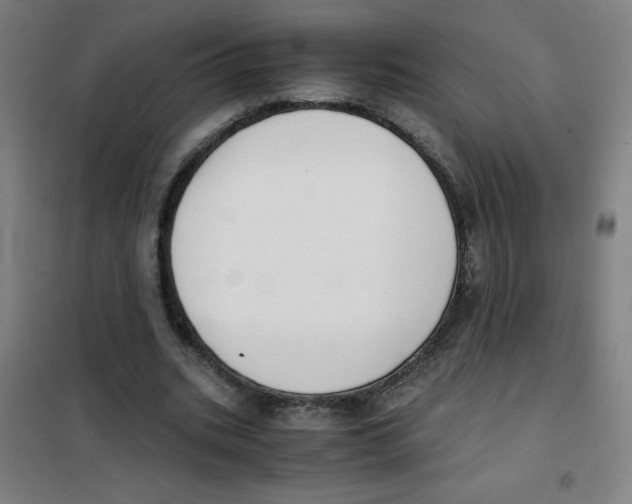 X0000101390535200808041019