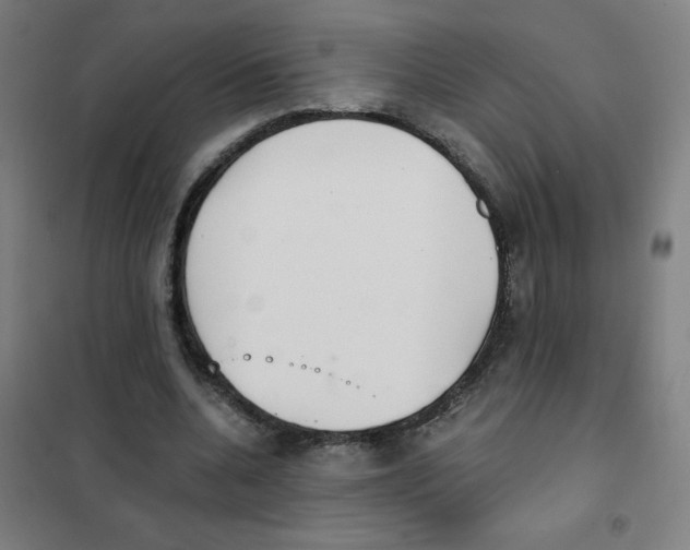 X0000101390536200808041019