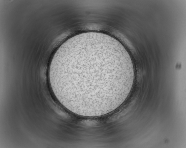 X0000101390537200808041019