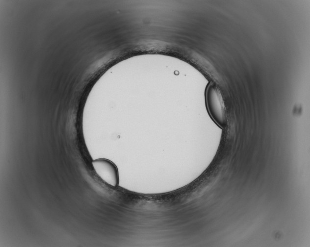 X0000101390538200808041019
