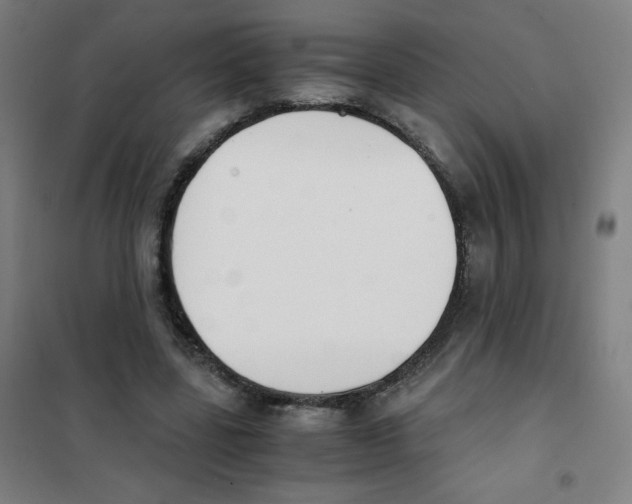 X0000101390539200808041019