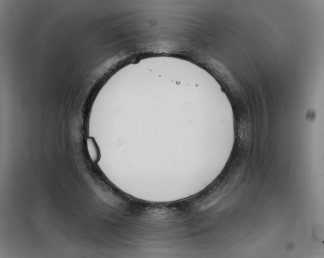 X0000101390540200808041019
