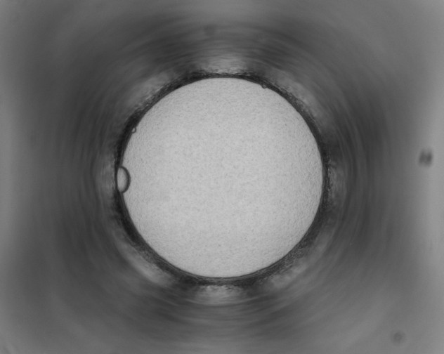 X0000101390541200808041019