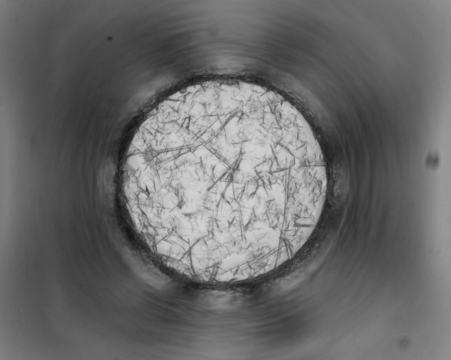 X0000101390542200808041019