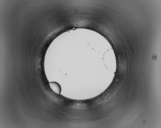 X0000101390543200808041019