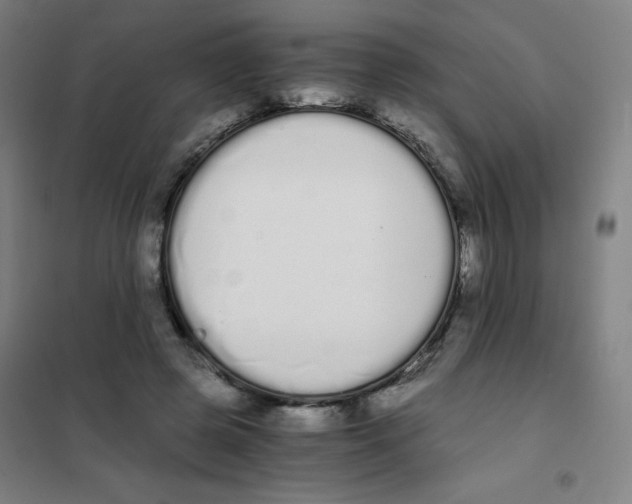 X0000101390545200808041019