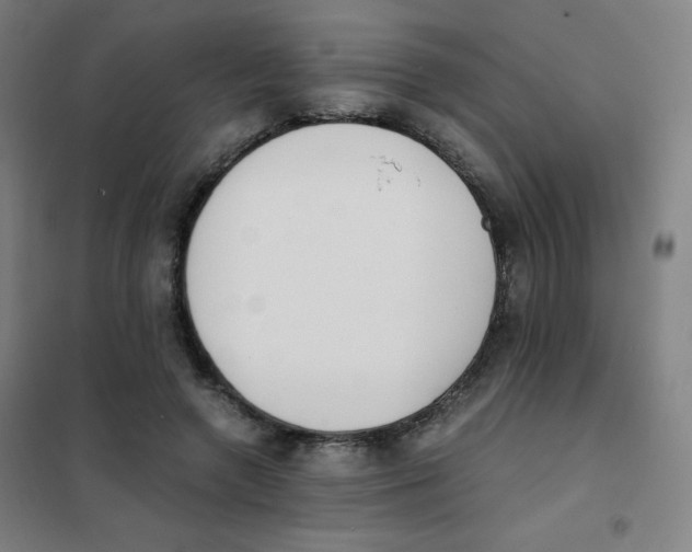 X0000101390546200808041019