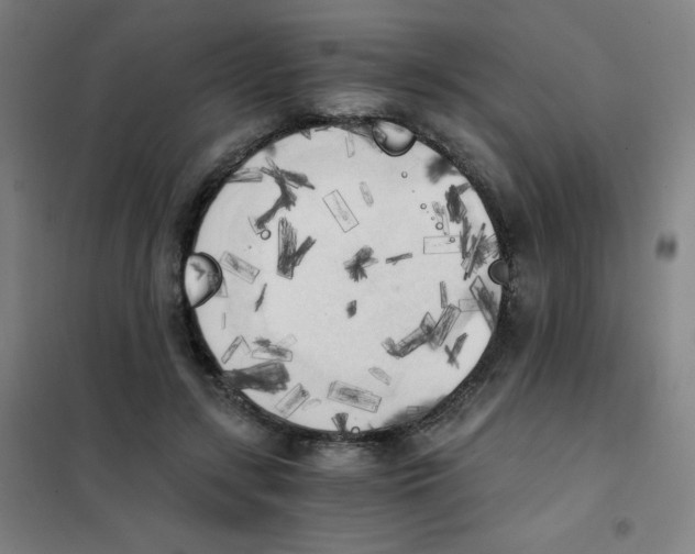 X0000101390547200808041019