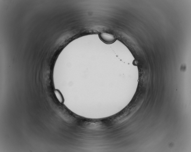 X0000101390548200808041019