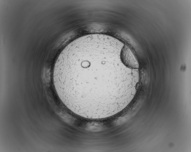X0000101390549200808041019