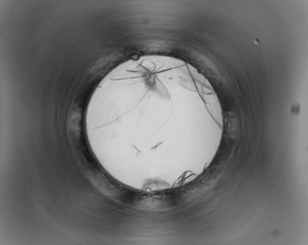 X0000101390550200808041019