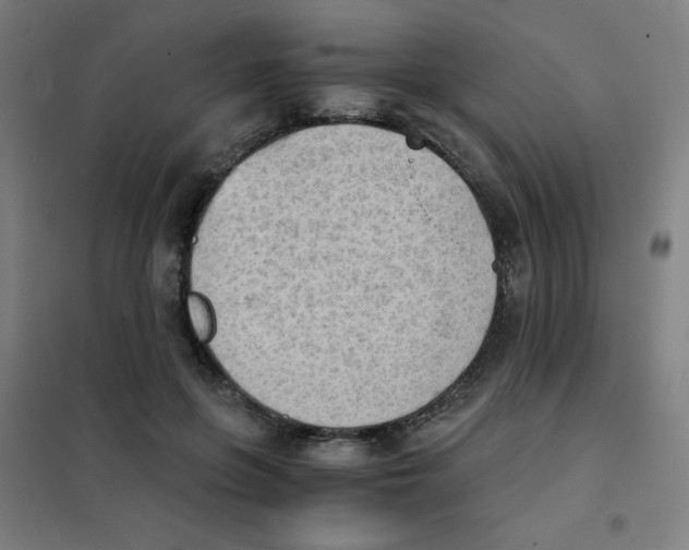X0000101390551200808041019