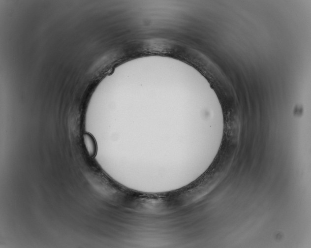 X0000101390552200808041019