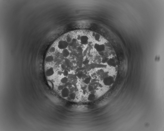 X0000101390553200808041019