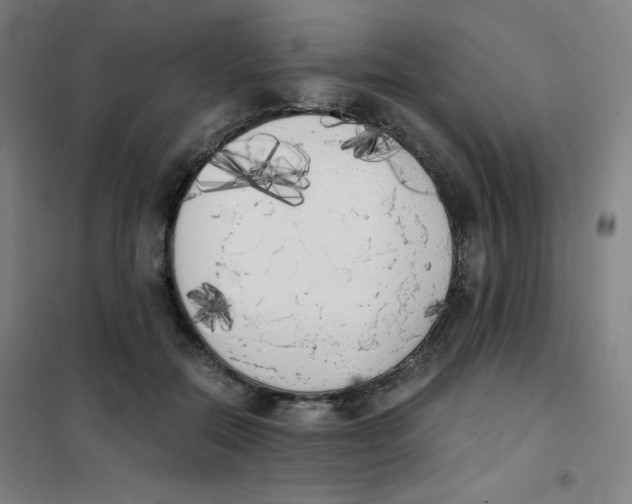X0000101390554200808041019