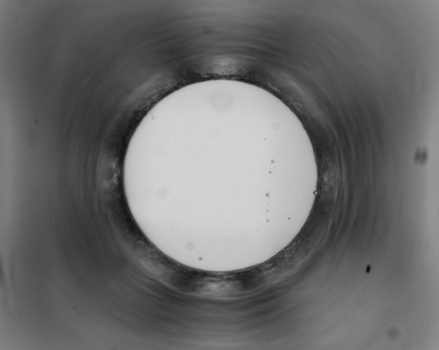 X0000101390555200808041019