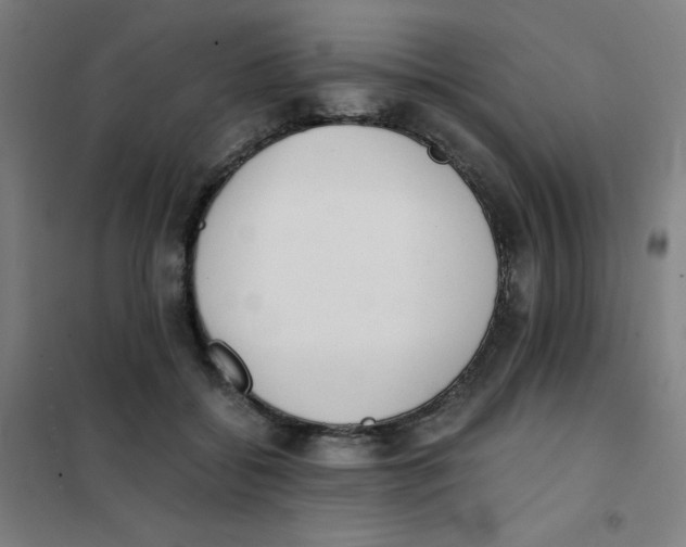 X0000101390556200808041019