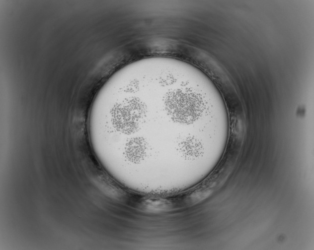 X0000101390557200808041019