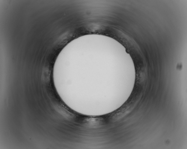 X0000101390558200808041019