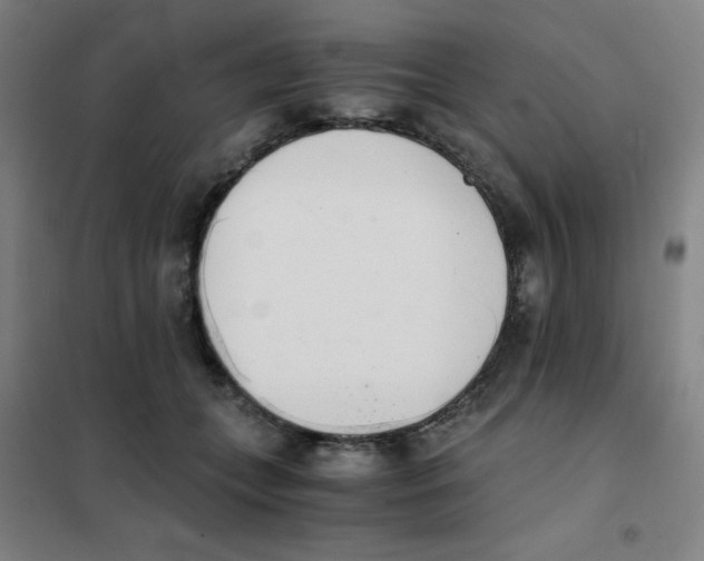X0000101390559200808041019