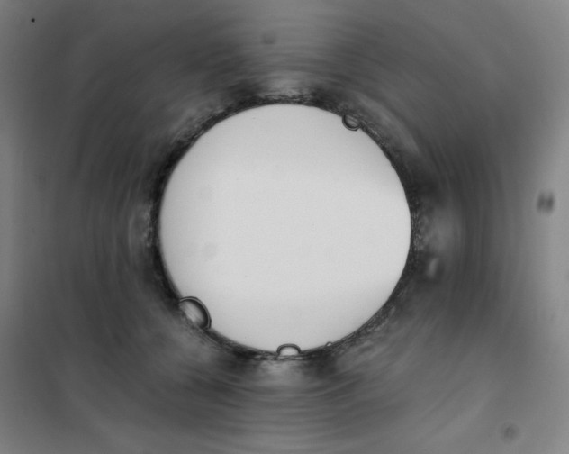 X0000101390560200808041019