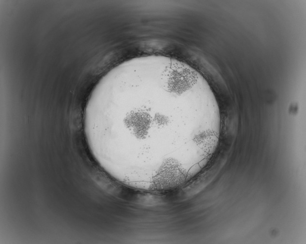 X0000101390561200808041019