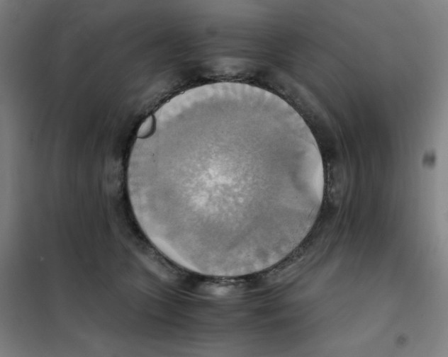 X0000101390563200808041019