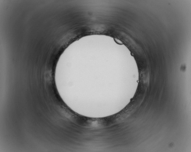 X0000101390564200808041019