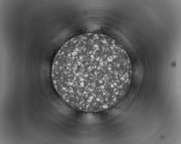 X0000101390565200808041019